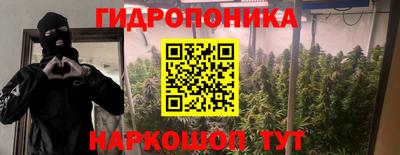 твердый Камышлов