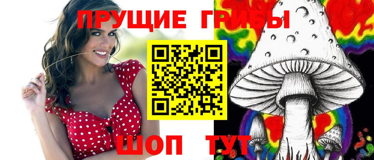 Псилоцибиновые грибы мицелий  Вход с VPN  Новодвинск 