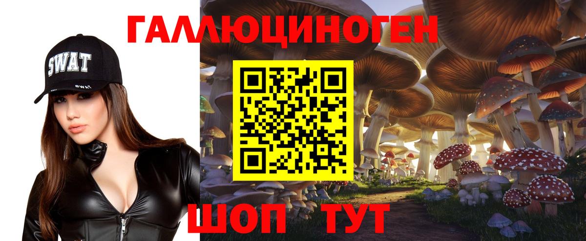 Галлюциногенные грибы Psilocybine cubensis Новодвинск